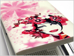 top-case-fandesion-case