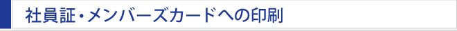 Ј؁Eo[YJ[hւ̈