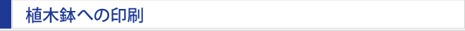 Aؔւ̈